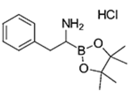 2-Phenyl-1-(4,4,5,5-tetramethyl-1,3,2-dioxaborolan-2-yl)ethylamine hydrochloride,2-Phenyl-1-(4,4,5,5-tetramethyl-1,3,2-dioxaborolan-2-yl)ethylamine hydrochloride