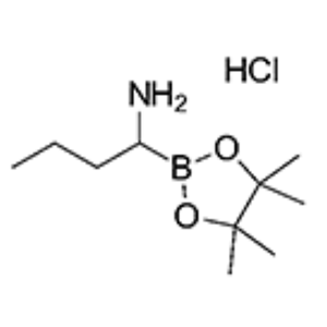 3020710-47-5；1-(4,4,5,5-Tetramethyl-1,3,2-dioxaborolan-2-yl)butylamine hydrochloride