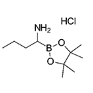 3020710-52-2；1-(4,4,5,5-Tetramethyl-1,3,2-dioxaborolan-2-yl)butylamine hydrochloride