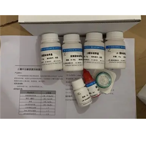 小鼠苹果酸脱氢酶(MDH)ELISA试剂盒