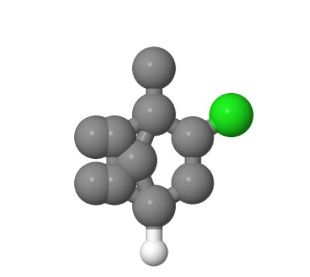 REL-(1R,2S,4R)-2-氯-1,7,7-三甲基二环[2.2.1]庚烷,endo-2-chlorobornane