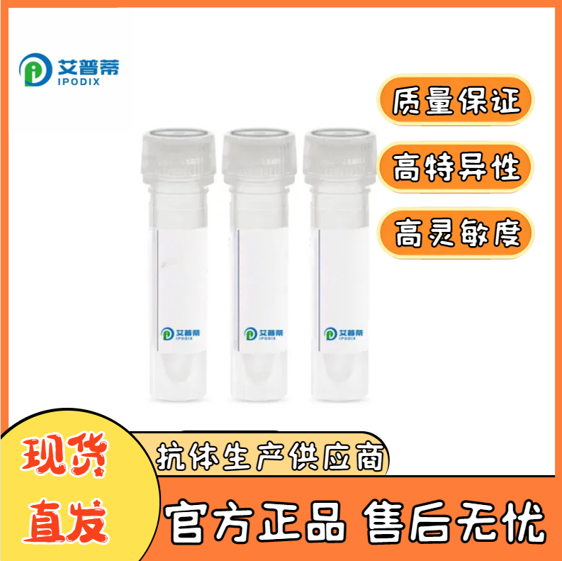 CAGE1抗體；CAGE1 antibody,CAGE1 antibody