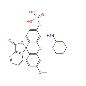 3-O-甲基荧光黄磷酸盐单环己基铵盐,3-O-METHYLFLUORESCEIN PHOSPHATE CYCLOHEXYLAMMONIUM SALT
