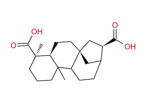 ENT-贝壳烯烷-17,19-二酸,ent-kauran-17,19-dioic acid