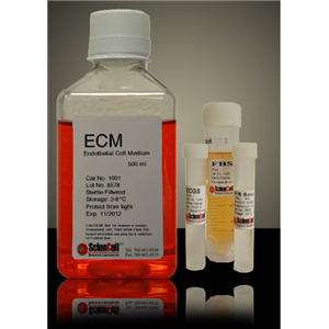 小鼠胆碱乙酰化酶(CHAc)ELISA试剂盒