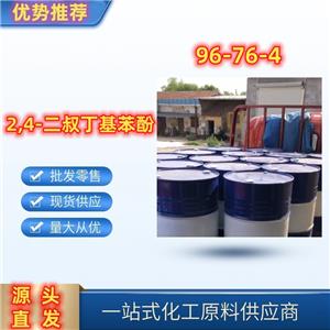 2,4-二叔丁基苯酚 精选货源直发96-76-4 优级品 一桶起发