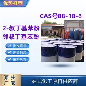 2-叔丁基苯酚 精选货源直发88-18-6国标优级品一桶起发