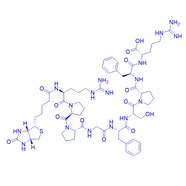 生物素-血管舒缓激肽,Biotin-Bradykinin