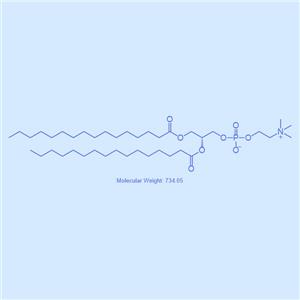 DOPC,二油酰磷脂酰胆碱,4235-95-4