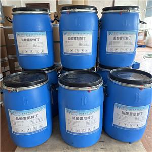 盐酸雷尼替丁,Ranitidine hydrochloride