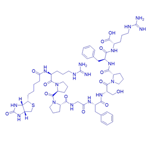 生物素-血管舒缓激肽/477319-71-4/Biotin-Bradykinin