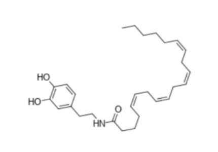 N-Arachidonoyldopamine,N-Arachidonoyldopamine