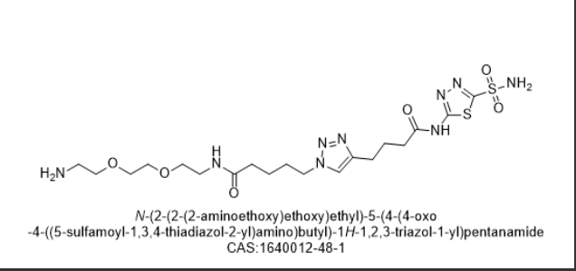 "N-(2-(2-(2-aminoethoxy)ethoxy)ethyl)-5-(4-(4-oxo -4-((5-sulfamoyl-1,3,4-thiadiazol-2-yl)amino)butyl)-1H-1,2,3-triazol-1-yl)pentanamid","N-(2-(2-(2-aminoethoxy)ethoxy)ethyl)-5-(4-(4-oxo -4-((5-sulfamoyl-1,3,4-thiadiazol-2-yl)amino)butyl)-1H-1,2,3-triazol-1-yl)pentanamid"
