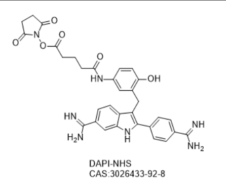 DAPI-NHS,DAPI-NHS