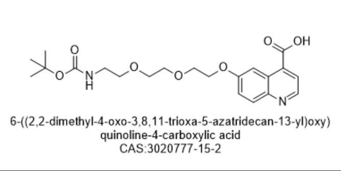 "6-((2,2-dimethyl-4-oxo-3,8,11-trioxa-5-azatridecan-13-yl)oxy) quinoline-4-carboxylic acid ","6-((2,2-dimethyl-4-oxo-3,8,11-trioxa-5-azatridecan-13-yl)oxy) quinoline-4-carboxylic acid "
