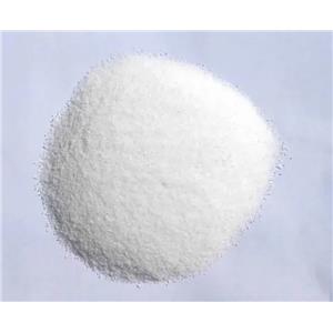 吡西卡尼盐酸盐，Pilsicainide hydrochloride，88069-49-2