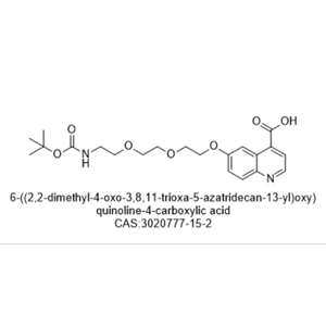 "6-((2,2-dimethyl-4-oxo-3,8,11-trioxa-5-azatridecan-13-yl)oxy) quinoline-4-carboxylic acid ","6-((2,2-dimethyl-4-oxo-3,8,11-trioxa-5-azatridecan-13-yl)oxy) quinoline-4-carboxylic acid "