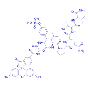 荧光肽5-FAM-GpYLPQTV-NH2/769166-98-5/5-FAM-GpYLPQTV-NH2