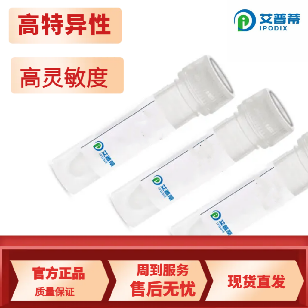 MED14抗體；MED14 antibody,MED14 antibody