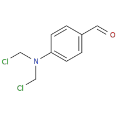 分子50