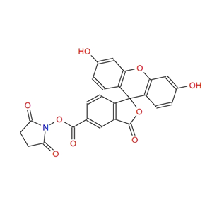 5-羧基熒光素琥珀酰亞胺酯,5-Carboxyfluorescein N-succinimidyl ester