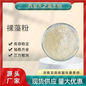 裸藻粉,Euglena powder