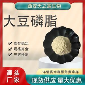 厂家直销 大豆磷脂 磷脂酰胆碱 8002-43-5 食品级化妆品级 卵磷脂