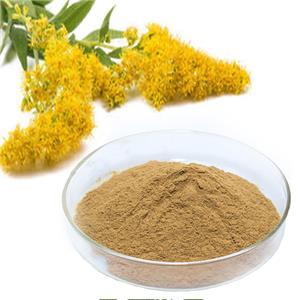 一枝黃花提取物,Goldenrod Extract