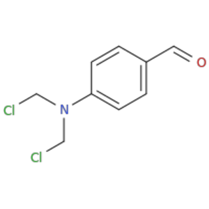 分子50