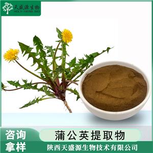 蒲公英提取物,Dandelion Extract