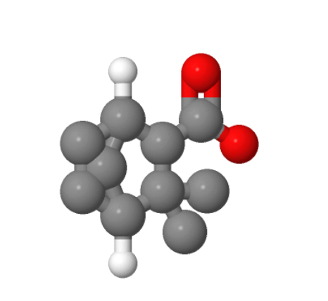 endo-3,3-dimethylbicyclo[2.2.1]heptane-2-carboxylic acid