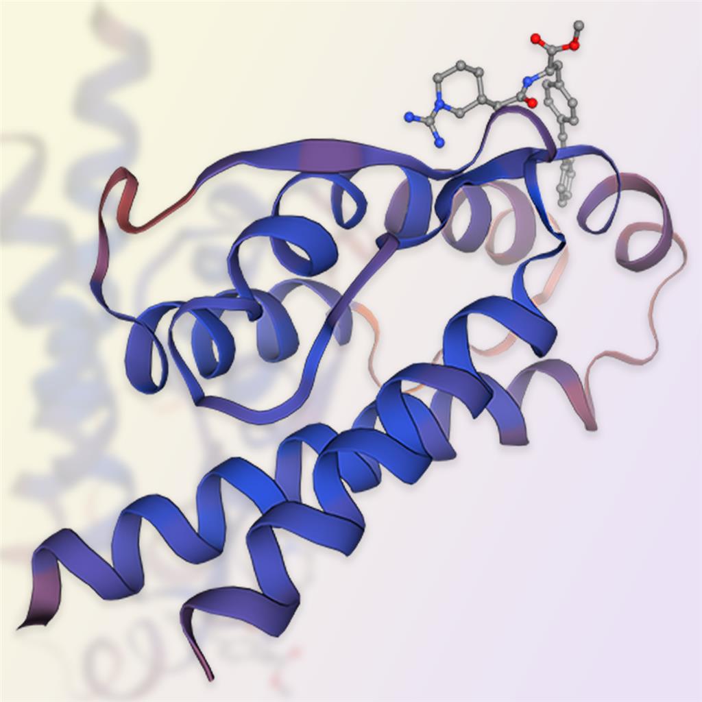 白細(xì)胞介素-2,IL-2