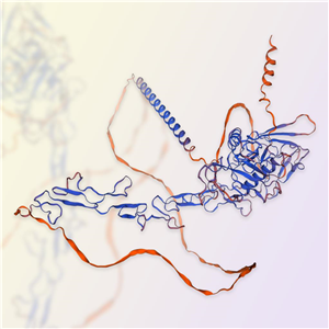 补体C1q受体/C1q R1重组蛋白，ACROBiosystems百普赛斯