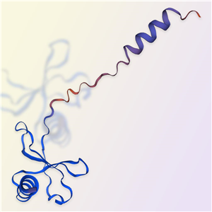 CCL5/RANTES蛋白-ACROBiosystems百普赛斯