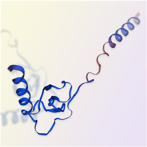 CCL17重组蛋白-ACROBiosystems百普赛斯