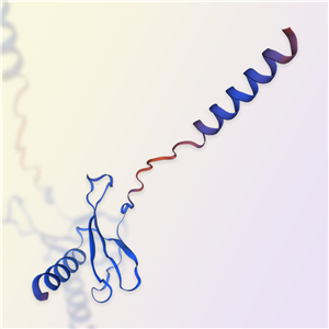 CCL20蛋白-ACROBiosystems百普賽斯