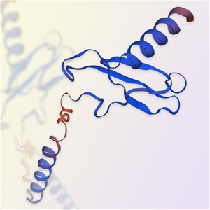 CXCL1蛋白-ACROBiosystems百普赛斯