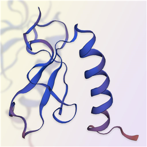 CXCL14蛋白-ACROBiosystems百普賽斯