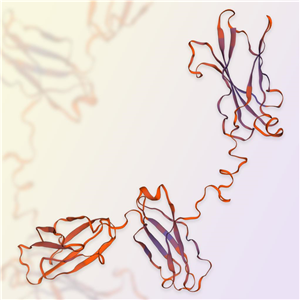 GM-CSF R alpha蛋白-ACROBiosystems百普赛斯