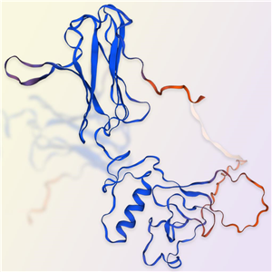 IGFBP7重组蛋白-ACROBiosystems百普赛斯
