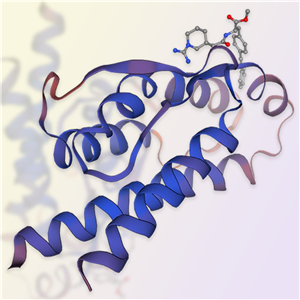 IL-2细胞因子 ACROBiosystems百普赛斯