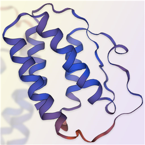 重组人IL-15蛋白-ACROBiosystems百普赛斯