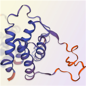 白介素7/IL-7細(xì)胞因子，ACROBiosystems百普賽斯