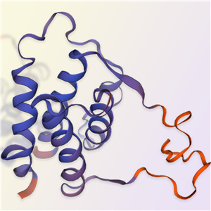 重组人IL-7蛋白-ACROBiosystems百普赛斯