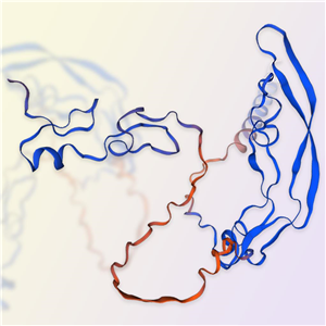 VEGF164/VEGFA重組蛋白，ACROBiosystems百普賽斯