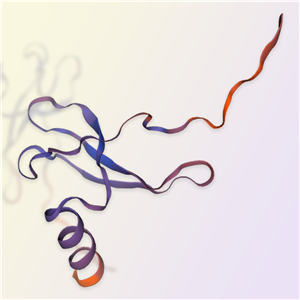 SDF-1蛋白,SDF-1