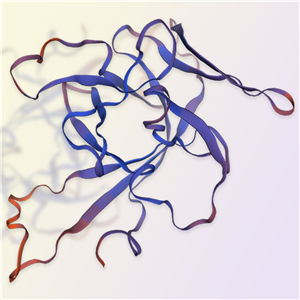 重组人IL-33蛋白-ACROBiosystems百普赛斯