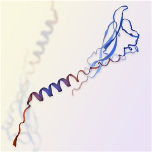 重組人IL-17F蛋白-ACROBiosystems百普賽斯