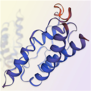 重组人IL-21蛋白-ACROBiosystems百普赛斯