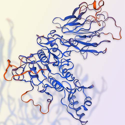 PCSK9蛋白,PCSK9